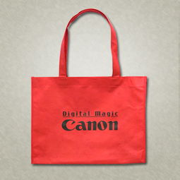 東莞供應無紡布廠家,無紡布袋生產商,無紡袋訂購產品圖片高清大圖